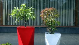 Stylish and Durable Plant Pots for Modern Homes